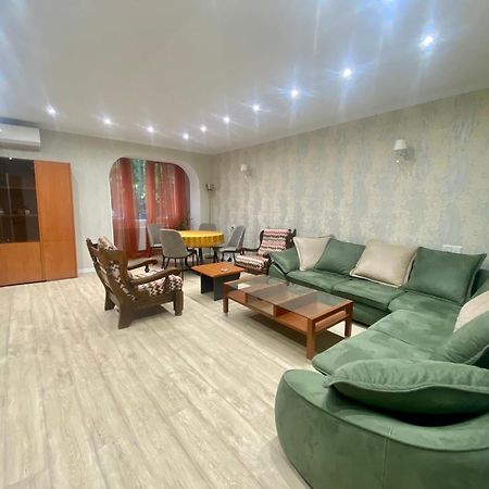 Spacious Dinamo Apartment ティビリシ エクステリア 写真